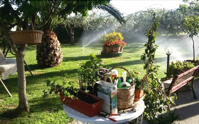 B&B L'Albero Di Antonia