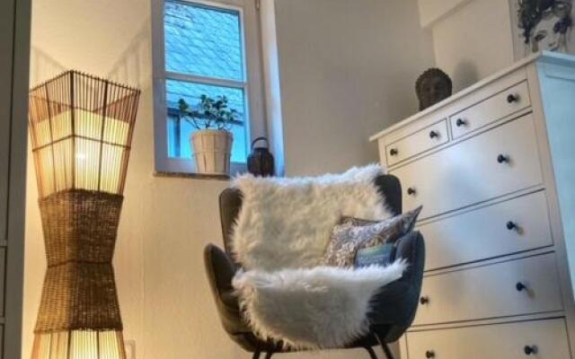 Ferienwohnung schöner Rheingau