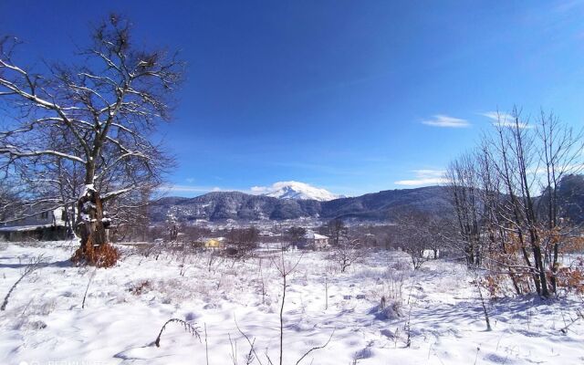Torrhebia Dag Evi