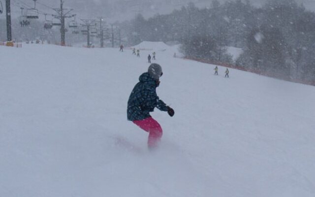 Tabist Seimeiso Shirakabako