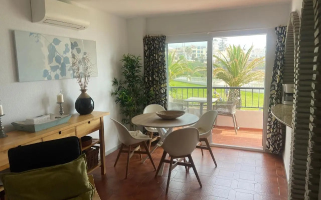 Palmeras 8 Menyber