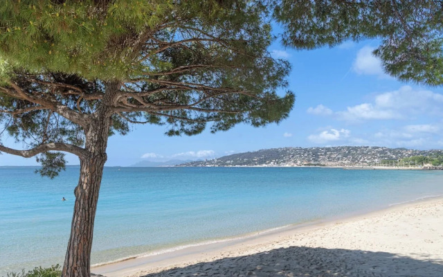 Les 15 Pins & La Mer
