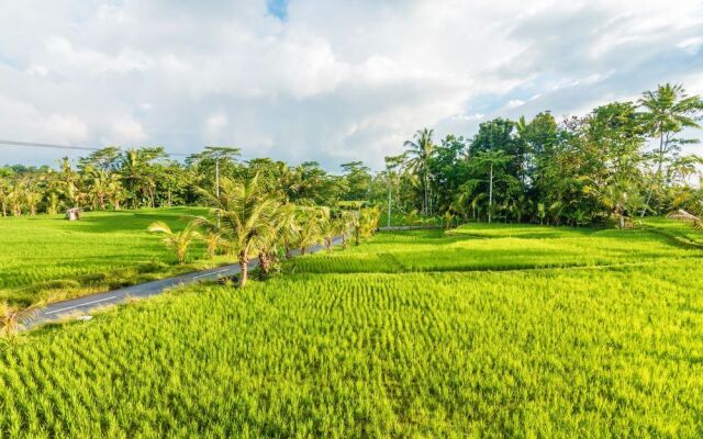 ZEN Rooms Kedisan Tegal Alang Ubud Villa