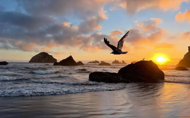 Sunset Oceanfront Lodging