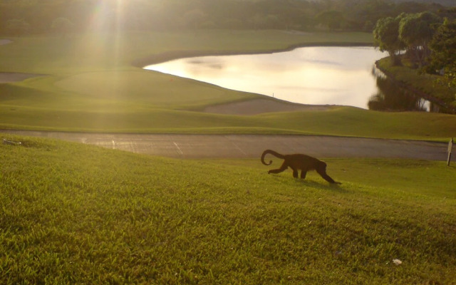 Reserva Conchal Resort - Roble Sabana Complex