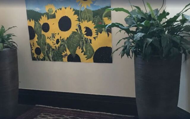 City Garden Lodge Backpackers