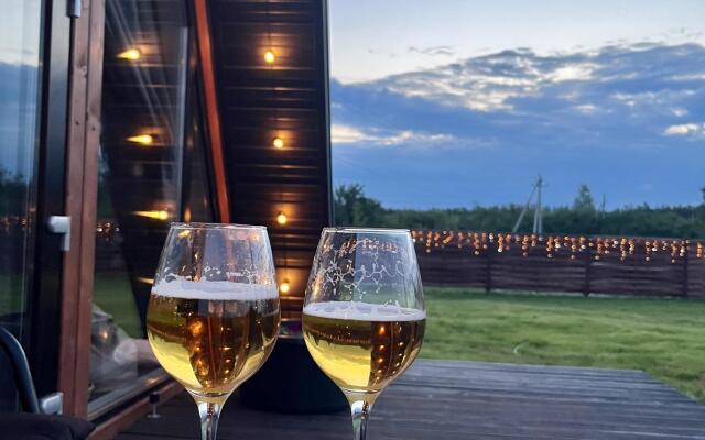 Шишкин Афрейм