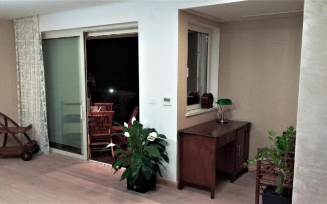 Anthurium Lux Apartment