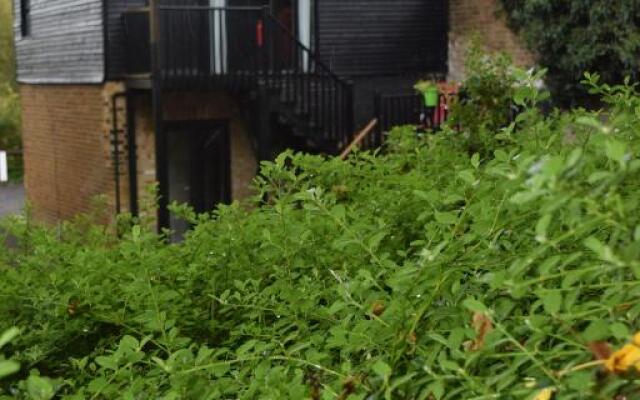 Watercress Barns