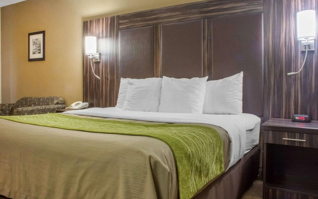 Comfort Inn St. Catharines - Hotel in St. Catharines - Photo 4