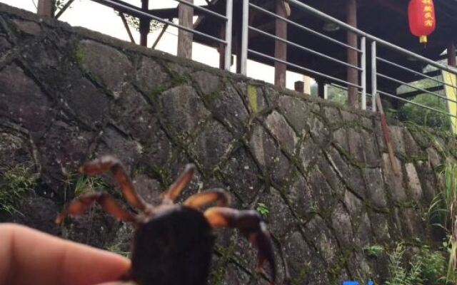 Tianmushan Old Lady Villa