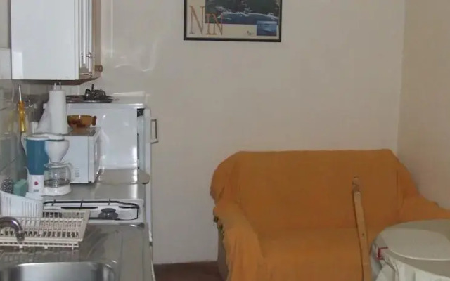 Apartments Andy