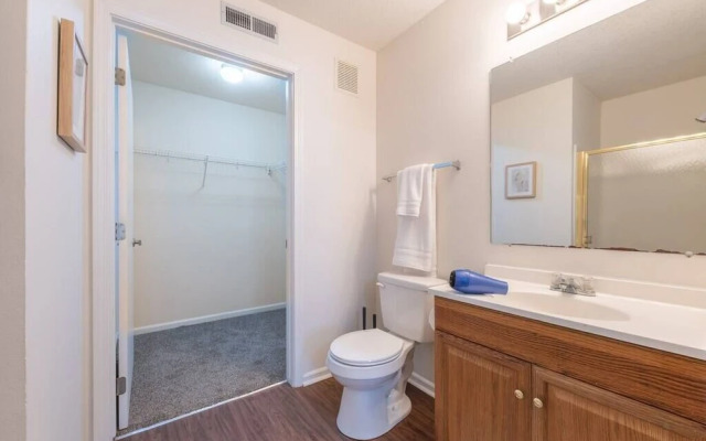 Onsite Gym Pool Fast Wifi More