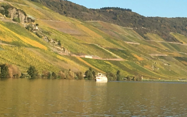 Ferienwohnung Mosel