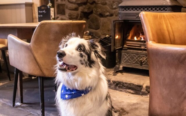 Waddington Arms