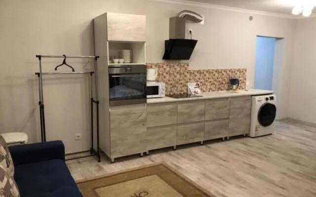Flat 1 bedroom 1 bathroom - Almaty