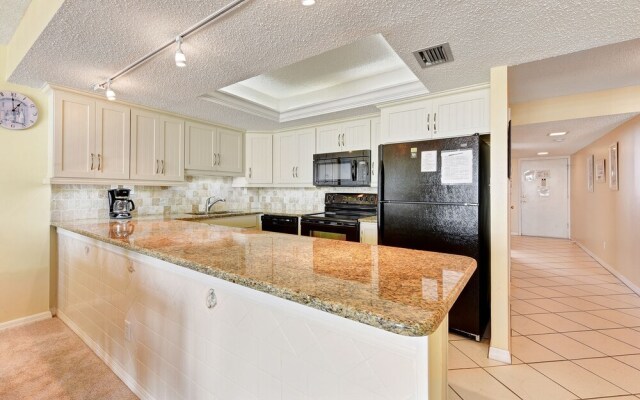 Sand Dollar I 504