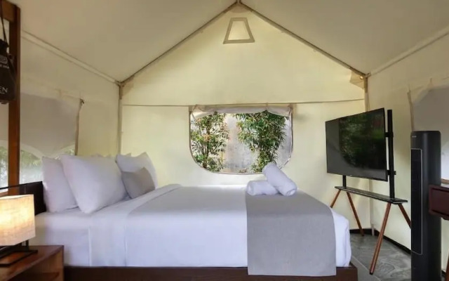 Zen By Stellar Cameron