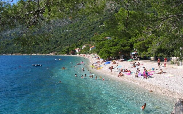 Apartments Reljic A842