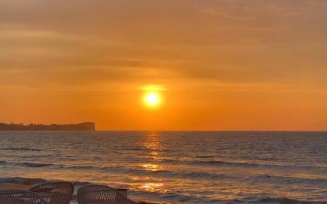 Sun Rose Studios