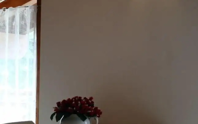 Albergo Stella Alpina