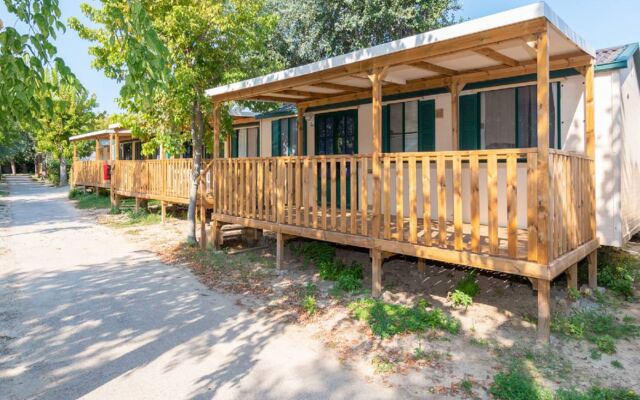 Club Del Sole Stork Family Collection