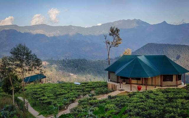 Madulkelle Tea and Eco Lodge
