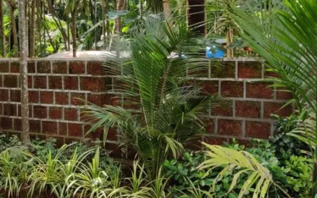 Oasis Resort