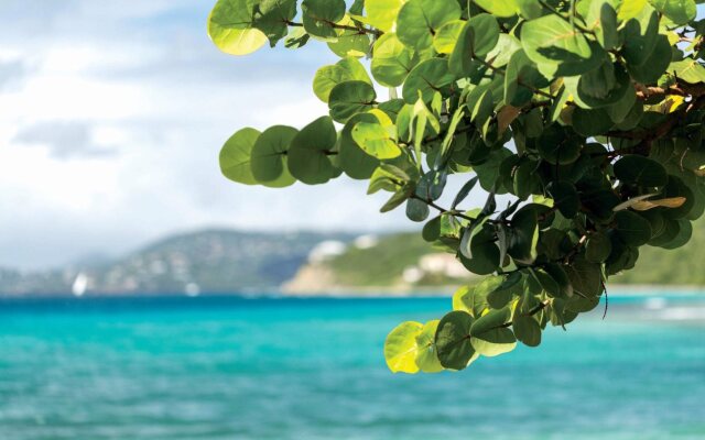 The Ritz-Carlton, St. Thomas