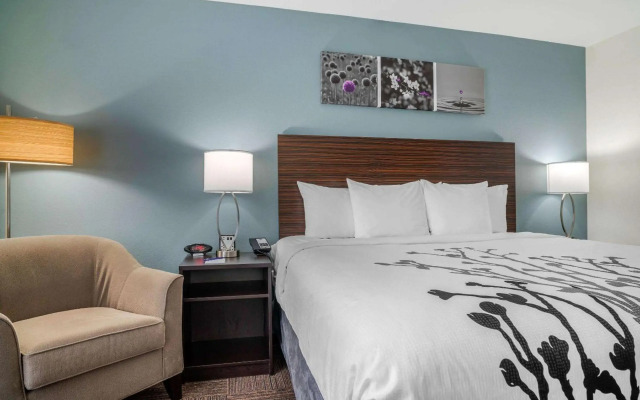 Sleep Inn & Suites near Westchase