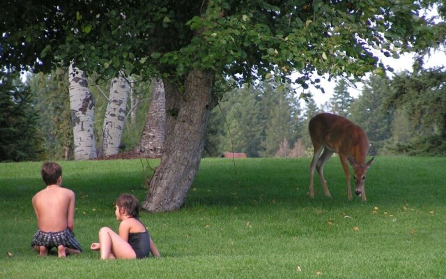 Mountain Harbor #209 2 Bedroom Condo