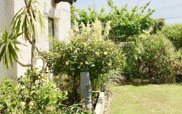 The Oasis by the Sea and Forest