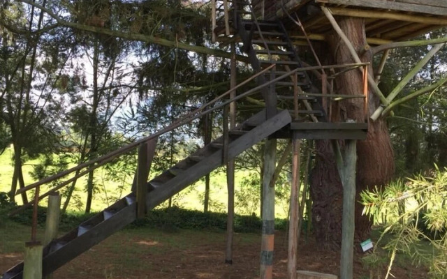 Tu Santuario