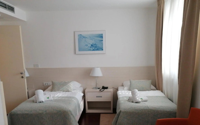 Hotel Borovnik
