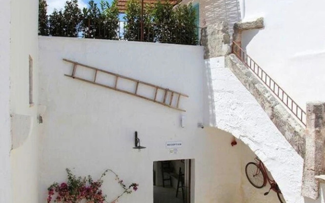 The Courtyard - Lilly