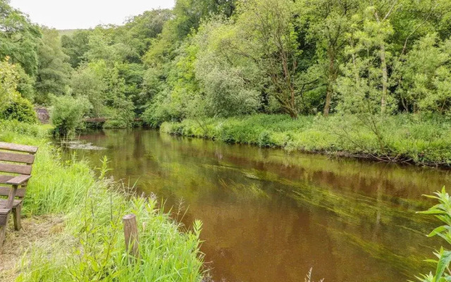 River View