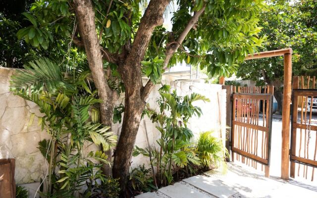 Yax Kiin Casa Boutique