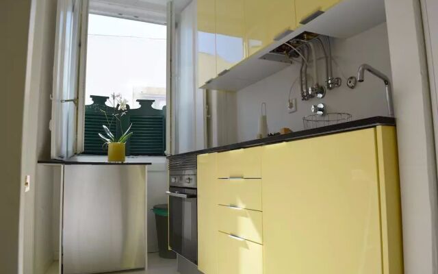 Bright Santa Catarina by Homing