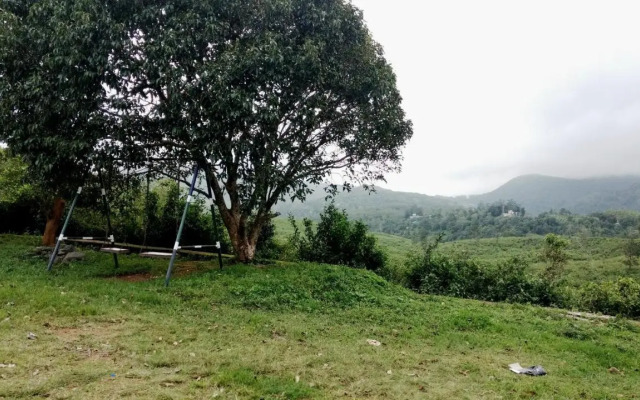 Whispering Pinewood