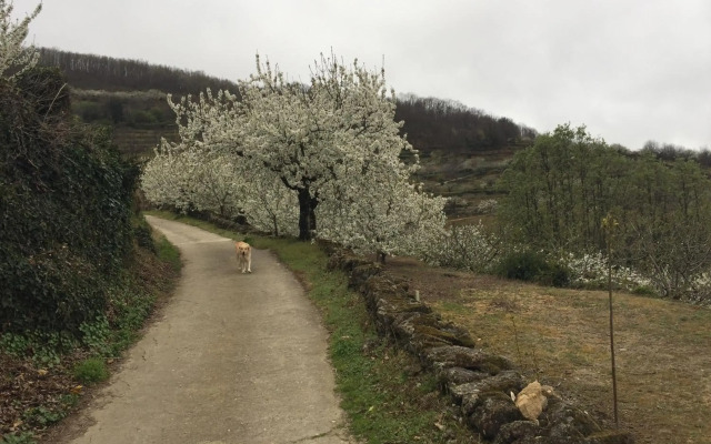 El Capricho del Jerte