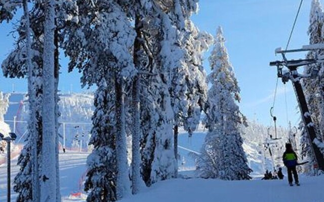 Qruka Kuusamo in Kuusamo