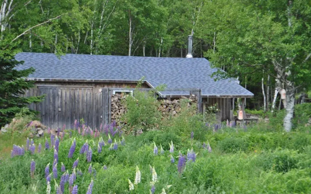 The Dancing Moose Cafe