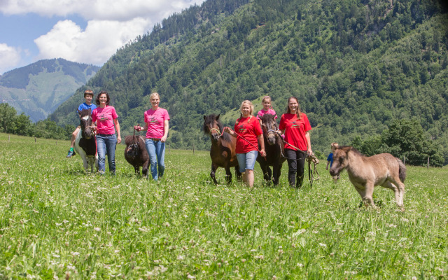 Feriendorf Ponyhof