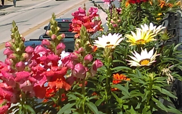 The Loft at Menorcan Square