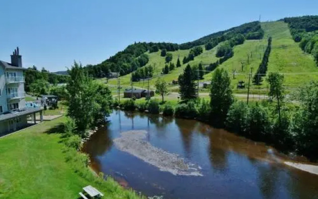 Chalet 620 Chemin du Hibou 320