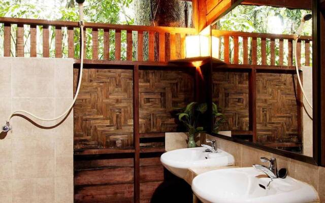 Our Jungle House