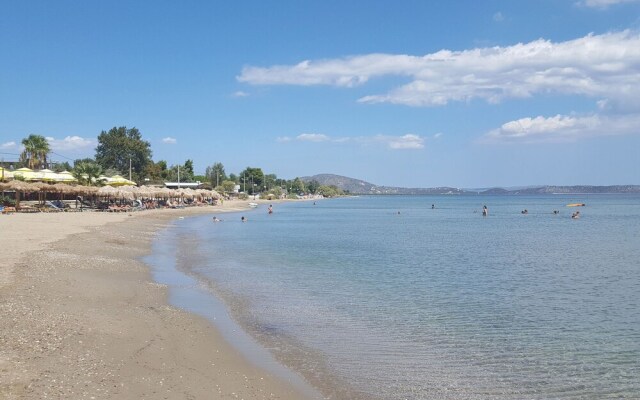 Home With Small Pool Near Athens, Easily Accessible by Public Transport