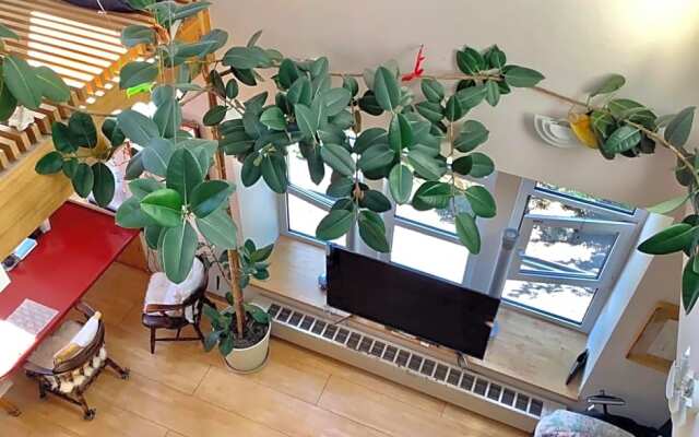 Sapporoの実家 B&B Yoshida