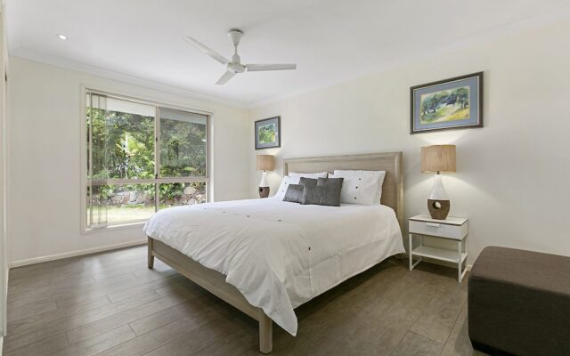 SeaShells At Noosa Heads