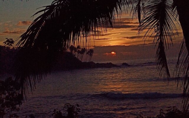 Surf Paradise Hotel